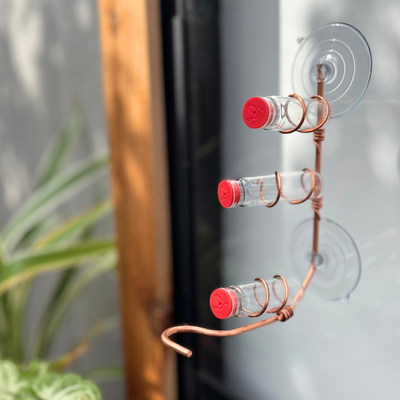 unique gift of window hummingbird feeder for outdoors 