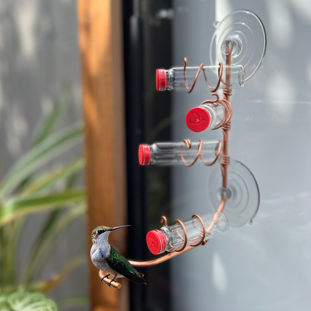 unique gift of window hummingbird feeder for outdoors 