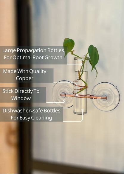 The Lily Window Propagator (Single Stem)