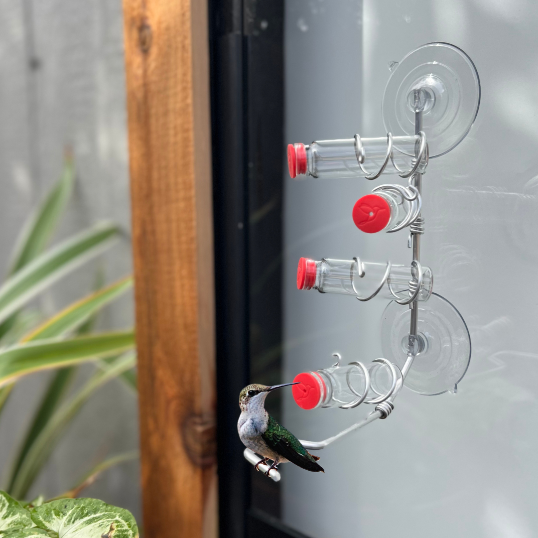 unique gift of window hummingbird feeder for outdoors 