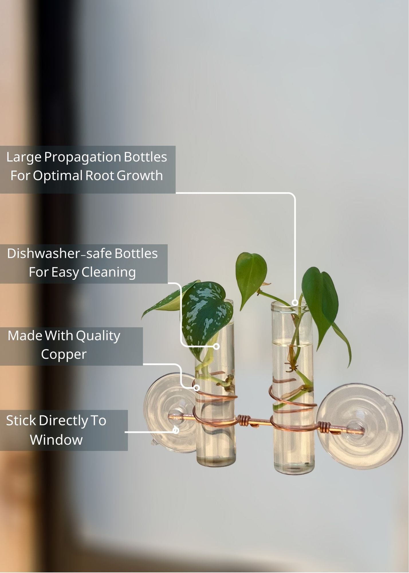 The Lily Window Propagator (Double Stem)