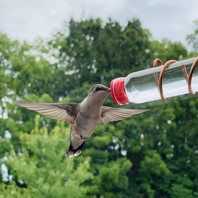 Modern Two Station Spiral Hummingbird  Feeder: Copper