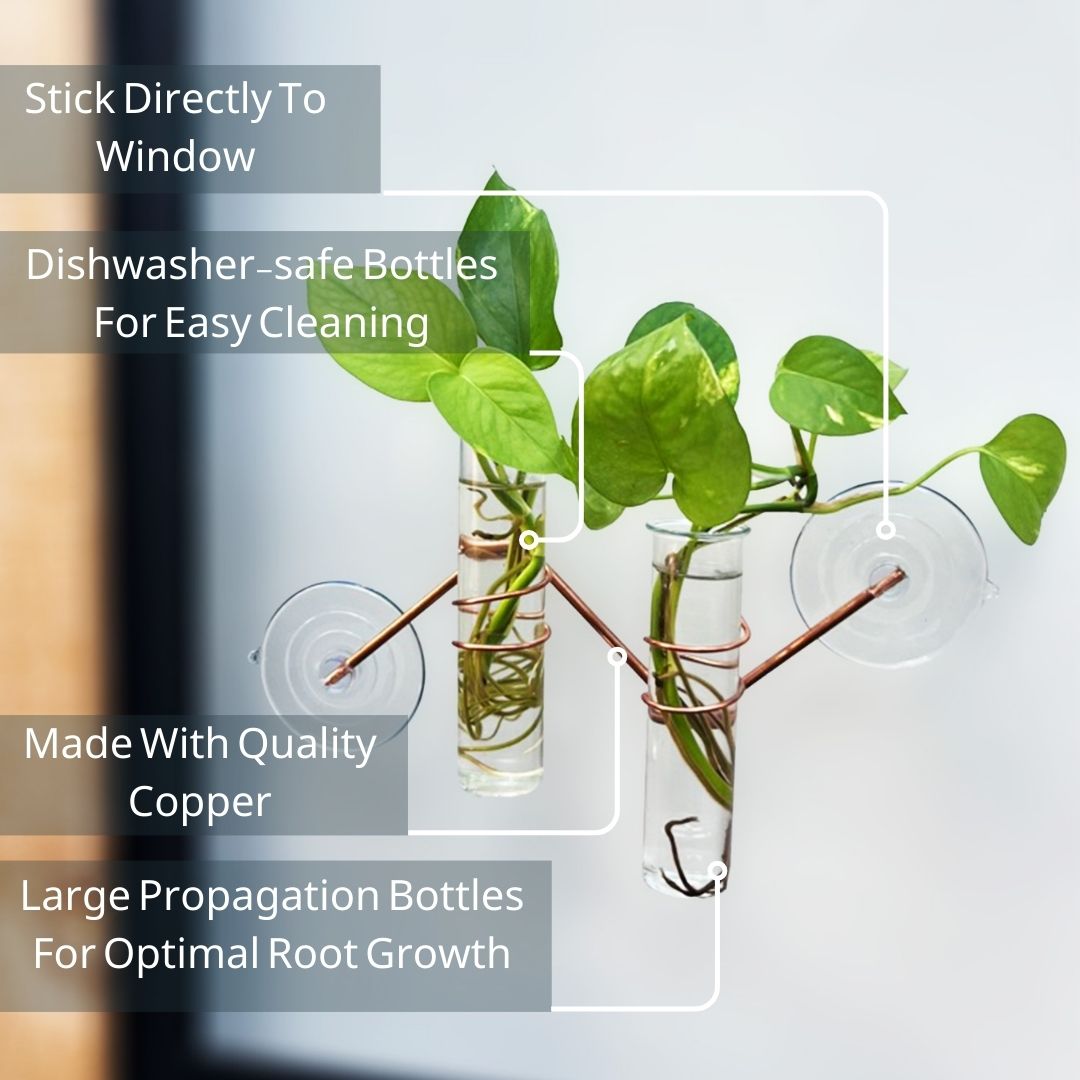 The Hazel Window Plant Propagator