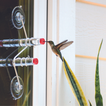 unique gift of window hummingbird feeder for outdoors 