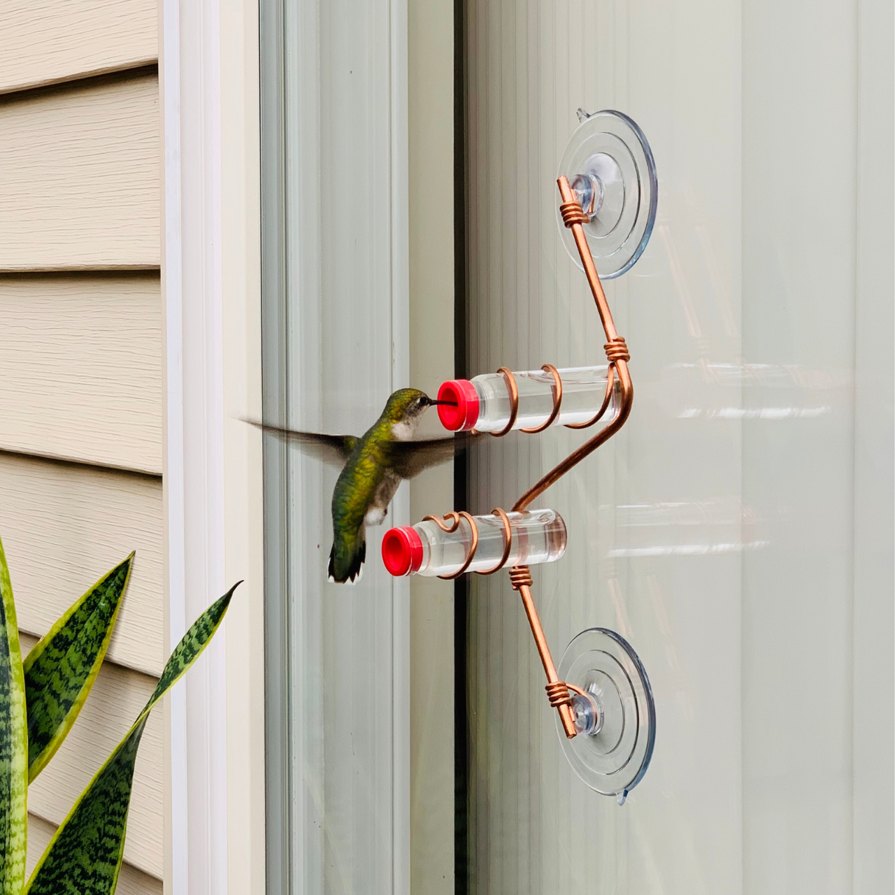 unique gift of window hummingbird feeder for outdoors 