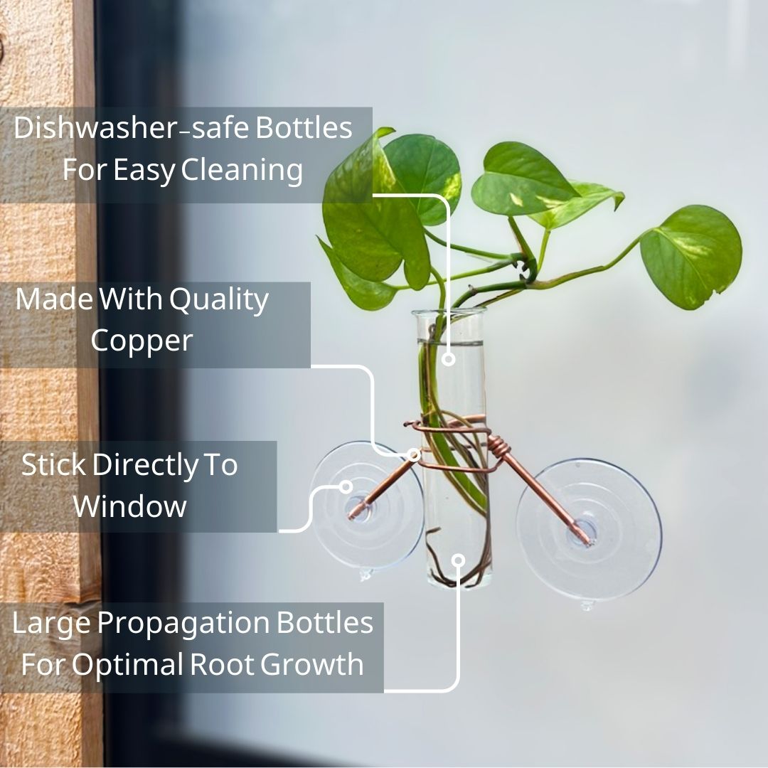 The Hazel Mini Window Plant Propagator