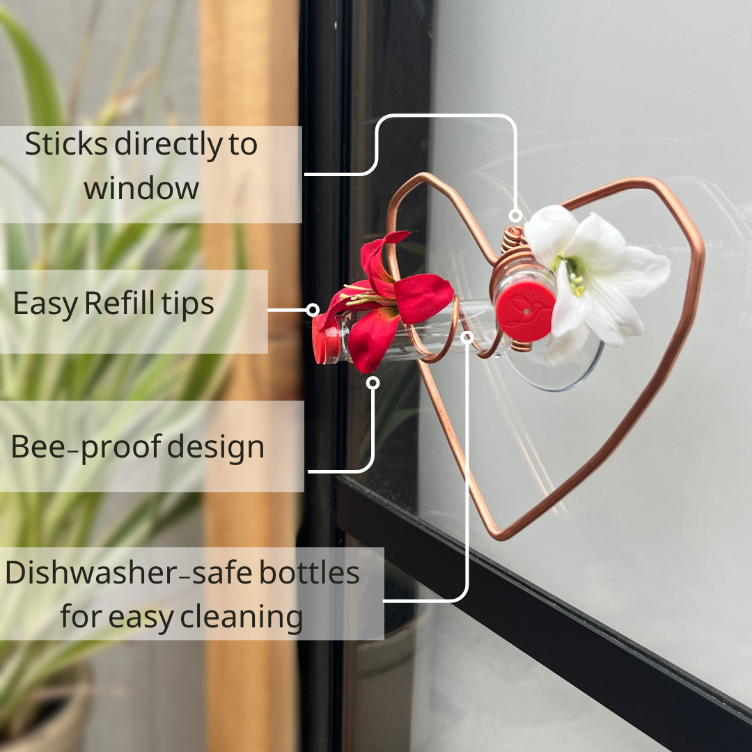 unique gift of window hummingbird feeder for outdoors 