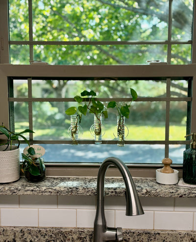 The Little Window Propagator (Three Bottles)