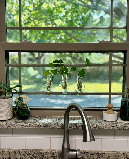 The Little Window Propagator (Three Bottles)