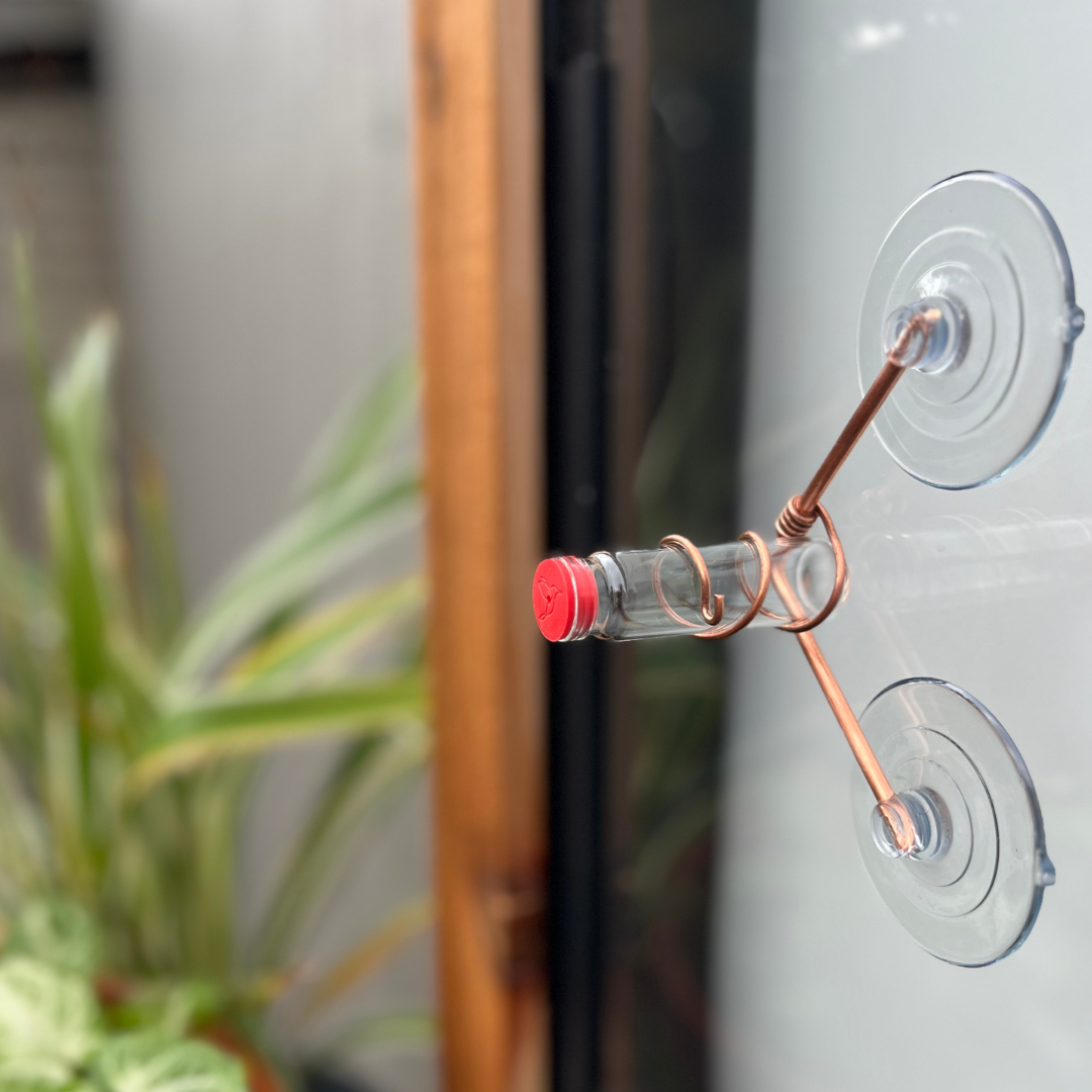 unique gift of window hummingbird feeder for outdoors 