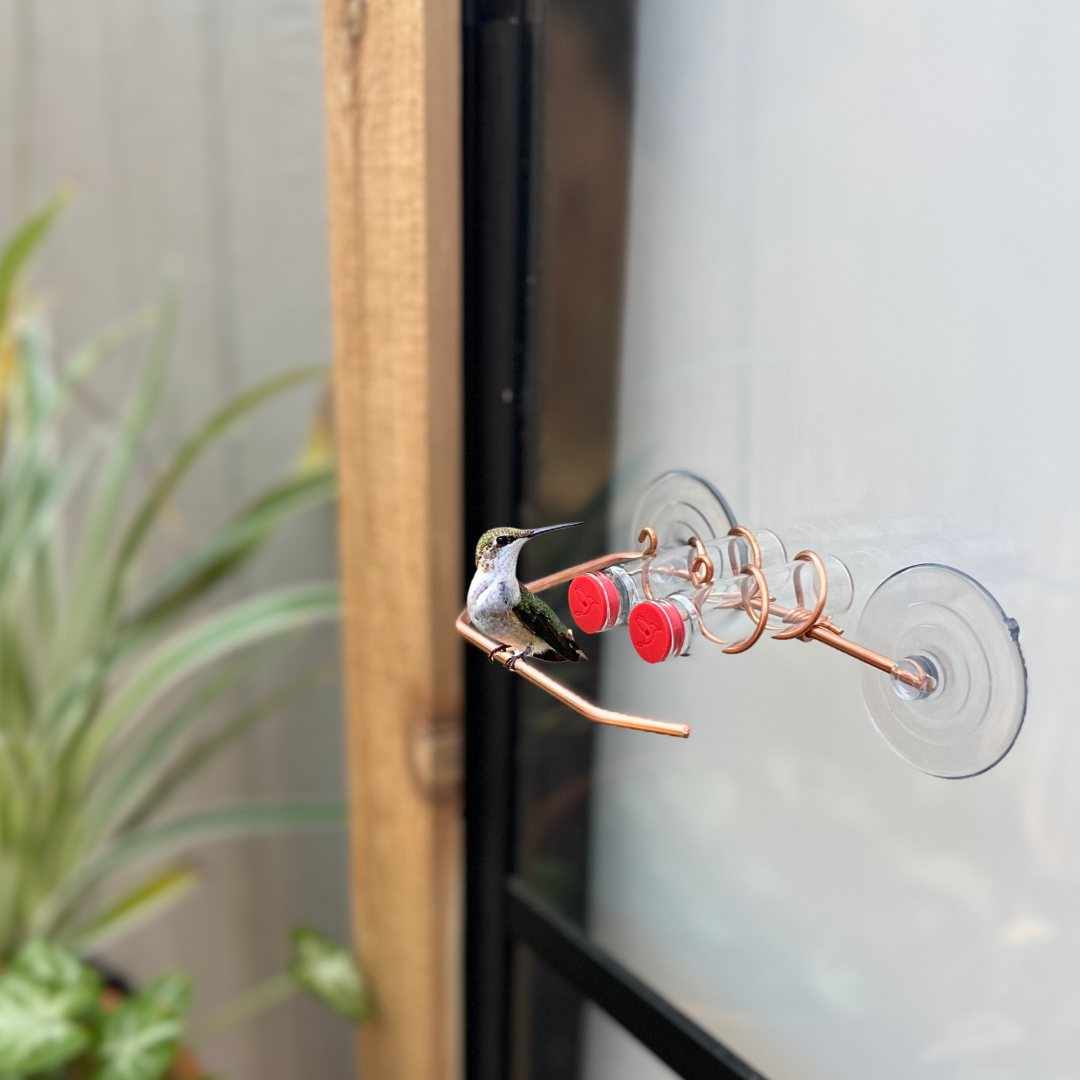 unique gift of window hummingbird feeder for outdoors 