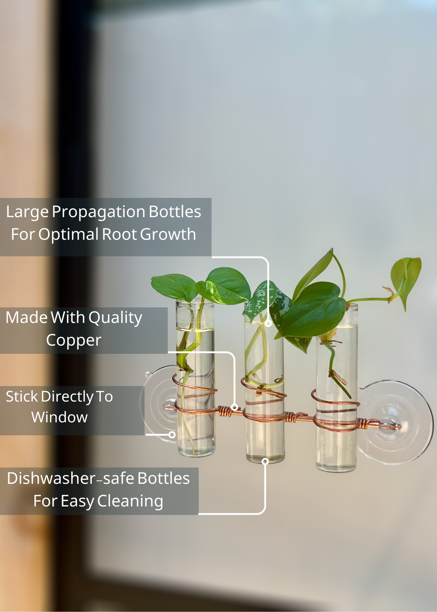 The Lily Window Propagator (Triple Stem)