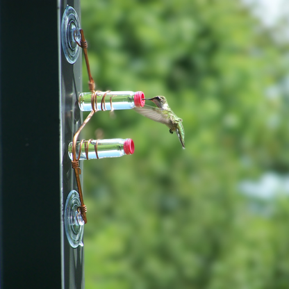 unique gift of window hummingbird feeder for outdoors 