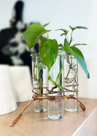 The Emma Plant Propagator (2 Stem)
