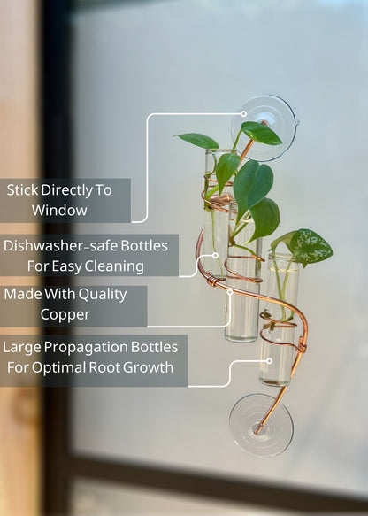 The Willow Window Plant Propagator (Triple Stem)