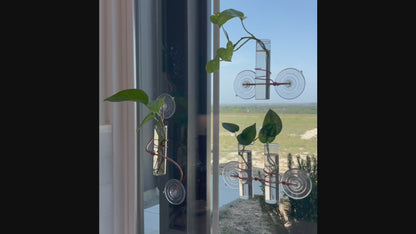 The Lily Window Propagator (Triple Stem)